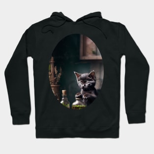 Kittens At Work - Distressed Hoodie